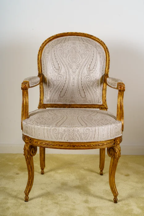 French 19th c. Montgolfier Fauteuils, pair of chairs (in the style of 18th c. Georges Jacob)